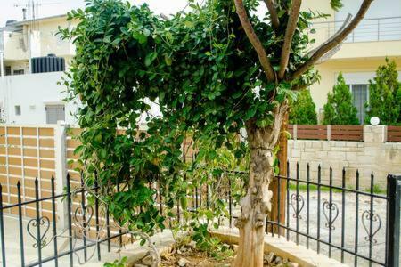Sun By The Sea 2 Apartment อาเยีย เปลาเยีย ภายนอก รูปภาพ